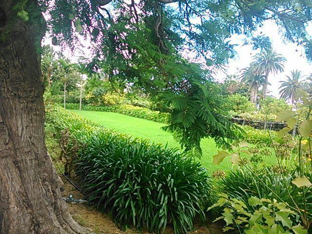 Casita Del Medianero Villa Santa Cruz de la Palma  Ngoại thất bức ảnh